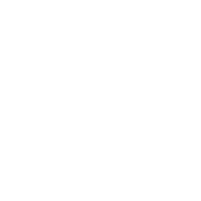 FoxValleyVet_400x400_white